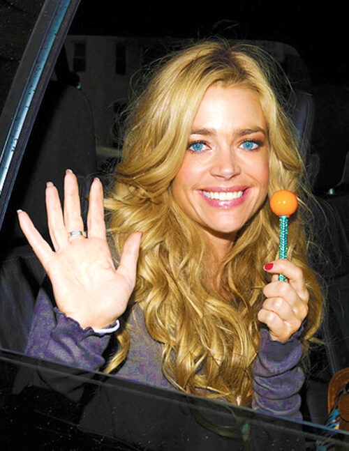 Denise Richards Image